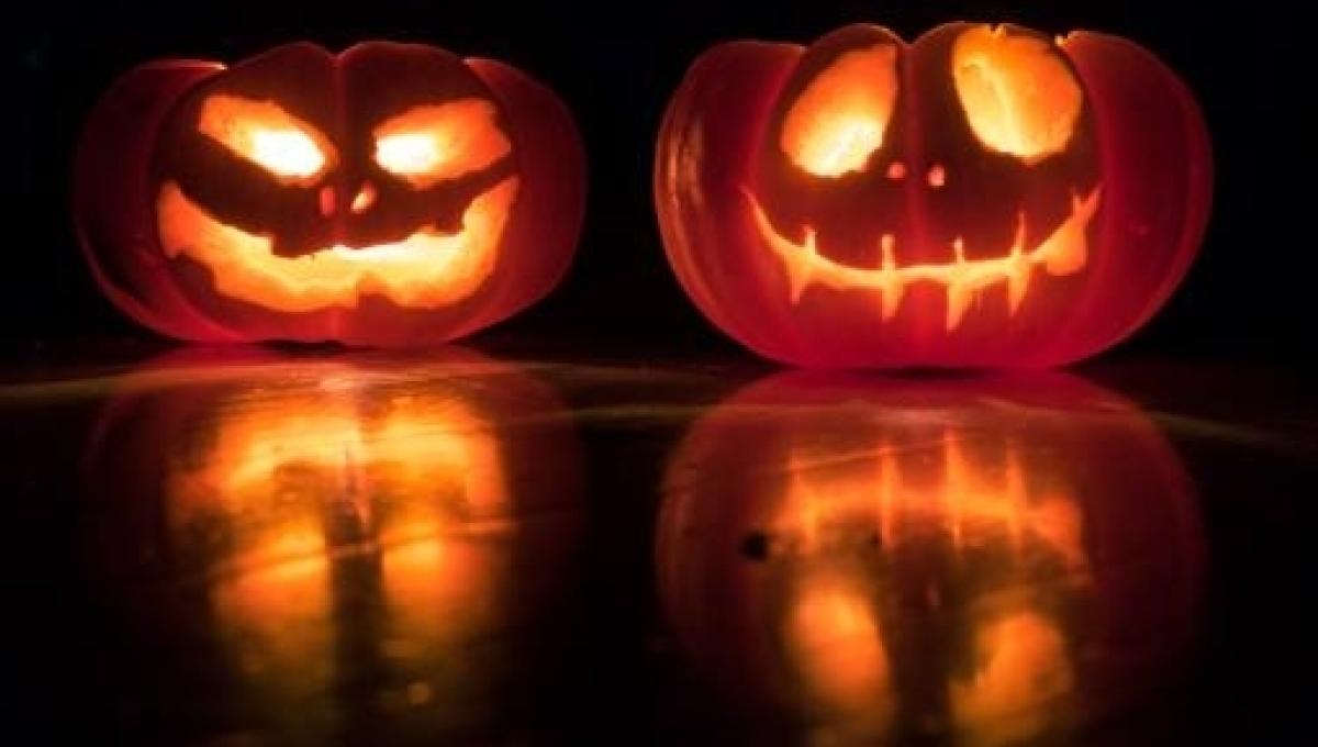 Halloween Come Si Prepara Una Zucca Si Scava E Si Conserva