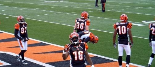 The Bengals messed up. [Image via Belgarion The King/Wikimedia Commons]