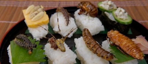 Saranno circa duemila le specie di insetti inserite nella lista dei Novel Food a partire dal 2018