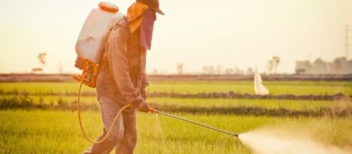 Un uomo mentre utilizza un'erbicida