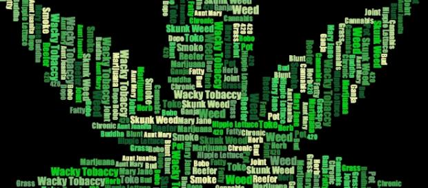 Freie Lizenz Cannabis Hanf Mary Freie Lizenz Cannabis Hanf Mary