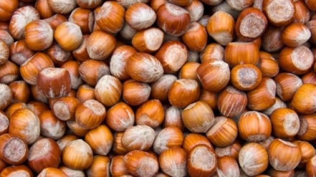 Cibi pericolosi, l'elenco di Coldiretti - gioia.it