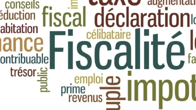 Les classes moyennes-supérieures s'estiment matraquées fiscalement par Macron