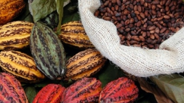 Report, cioccolato di Modica &egrave; una bufala storica