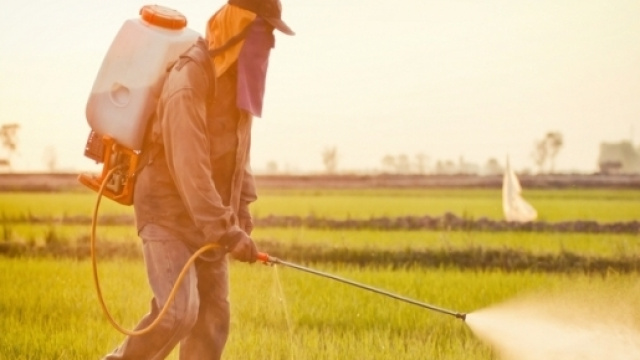 Un uomo mentre utilizza un'erbicida