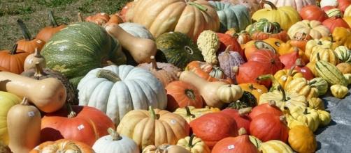 Everything You Want To Know About Pumpkins - com.au