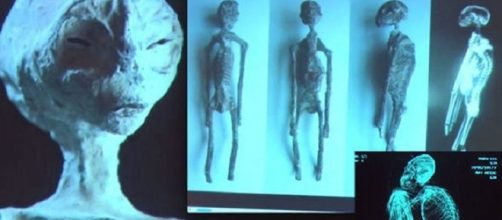 Mummie di Nazca non sono dei falsi