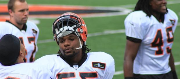 Vontaze Burfict -- Navin75/Flickr Vontaze Burfict -- Navin75/Flickr