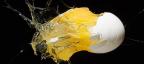 Photogallery - Under the Radar: Scientists Discovered How to Unboil Eggs