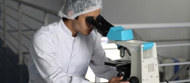 Image of scientist conducting research (Photo by luvqs via Pixabay) Image of scientist conducting research (Photo by luvqs via Pixabay)