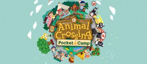 The official logo of Pocket Camp. Image Credit: Youtube/Nintendo mobile The official logo of Pocket Camp. Image Credit: Youtube/Nintendo mobile