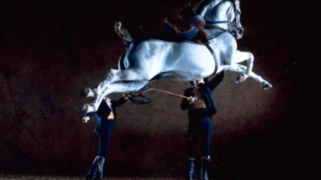 Fieracavalli Verona 2017: info utili. orari, biglietti e prezzi