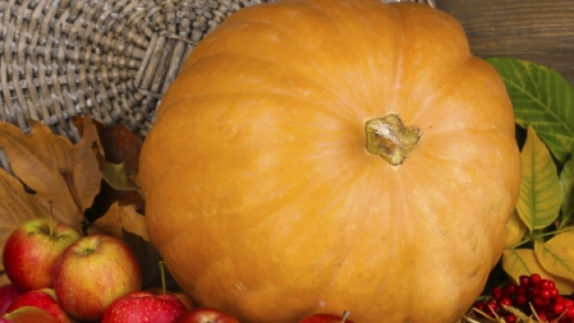 muffin | Risultati della ricerca | UnaDonna - unadonna.it