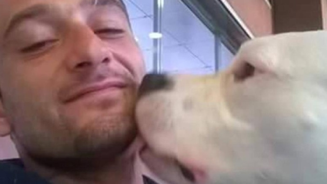 Non uccidete il mio cane Iceberg&rdquo; - La Stampa - lastampa.it