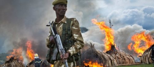 Kenya Protests Turn Violent - Video - NYTimes.com - nytimes.com