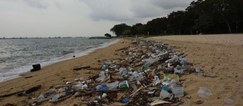Plastic waste pollution on the beach. (Image via Vaidehi Shah / Wikimedia Commons)