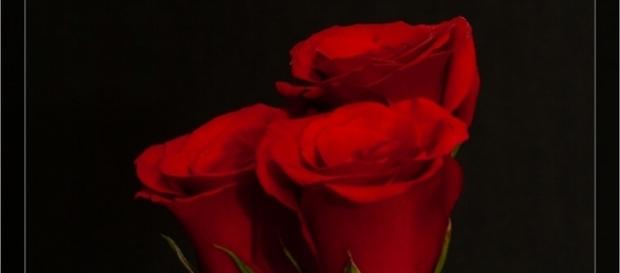 'The Bachelor' 2018 spoilers for hometowns leaked. (Photo via Dinuraj K./Flickr) 'The Bachelor' 2018 spoilers for hometowns leaked. (Photo via Dinuraj K./Flickr)