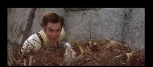 "Ace Ventura" is getting a new movie through Morgan Creek Entertainment Group. [Image:ppcontact/YouTube]