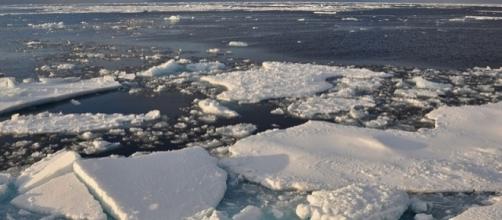 Arctic ice. [Image credit: Patrick Kelley/Wikimedia Commons]