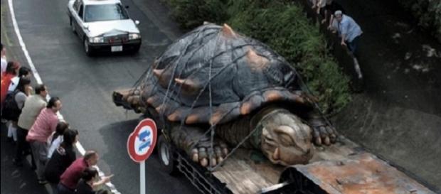 Maiores animais que já se conseguiu capturar na natureza Maiores animais que já se conseguiu capturar na natureza