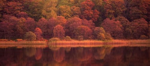 Ireland In Autumn - Image - By Magdalleny (Own work) | CC BY-SA 4.0 | Wikimedia Commons