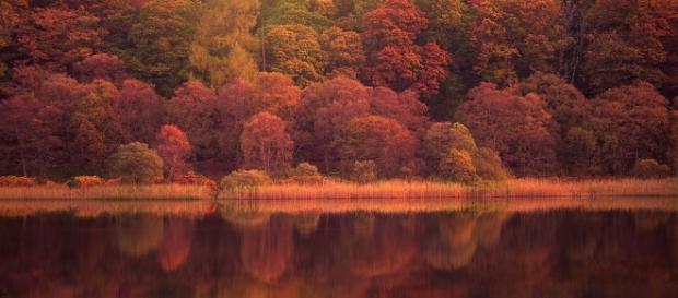 Ireland In Autumn - Image - By Magdalleny (Own work) | CC BY-SA 4.0 | Wikimedia Commons Ireland In Autumn - Image - By Magdalleny (Own work) | CC BY-SA 4.0 | Wikimedia Commons