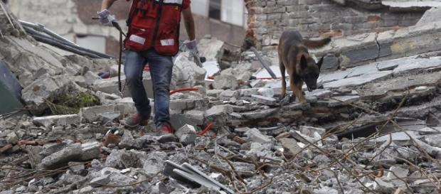 Un malagueño permanece atrapado bajo los escombros de un inmueble ... - deia.com Un malagueño permanece atrapado bajo los escombros de un inmueble ... - deia.com
