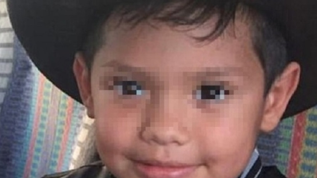 Jacob, sbranato a 4 anni dai suoi dieci cani.