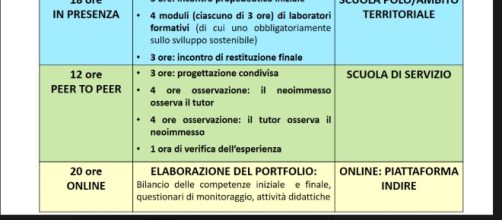 le attività da svolgere nell'anno di prova