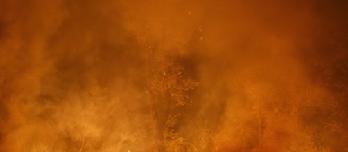 Le foto dei grandi incendi in Portogallo e Spagna - Il Post - ilpost.it