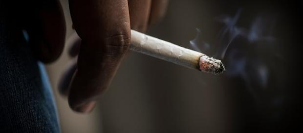 Africa Archives - Clear The Air News Tobacco Blog – Clear The Air ... - org.hk Africa Archives - Clear The Air News Tobacco Blog – Clear The Air ... - org.hk