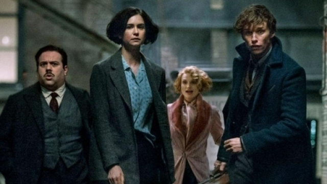 Les Animaux Fantastiques 2 : Intrigue, rumeurs, casting... Ce que ... - melty.fr