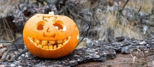 La mitica zucca di Halloween (Ph. cogdogblog)