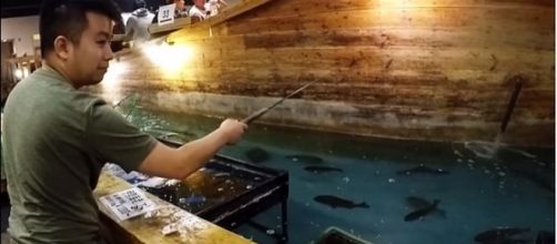 Man fishing for his own dinner at Zauko in Japan [Andrew Vongsa/YouTube screenshot]