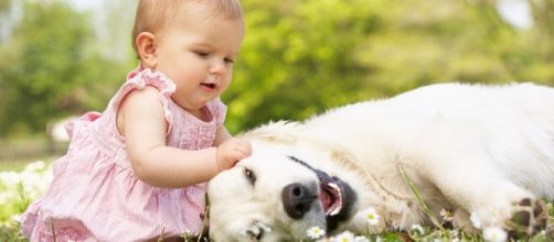 Tener un perro en casa reduce el riesgo de eccema y de asma