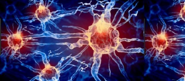 Crise epilética: uma descarga elétrica de neurônios mais duradoura que as habituais Crise epilética: uma descarga elétrica de neurônios mais duradoura que as habituais