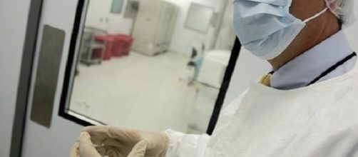 Quattro nuovi casi di malaria a Taranto