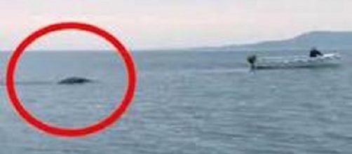 Testimoni affermano di aver avvistato un mostro nel lago di Garda