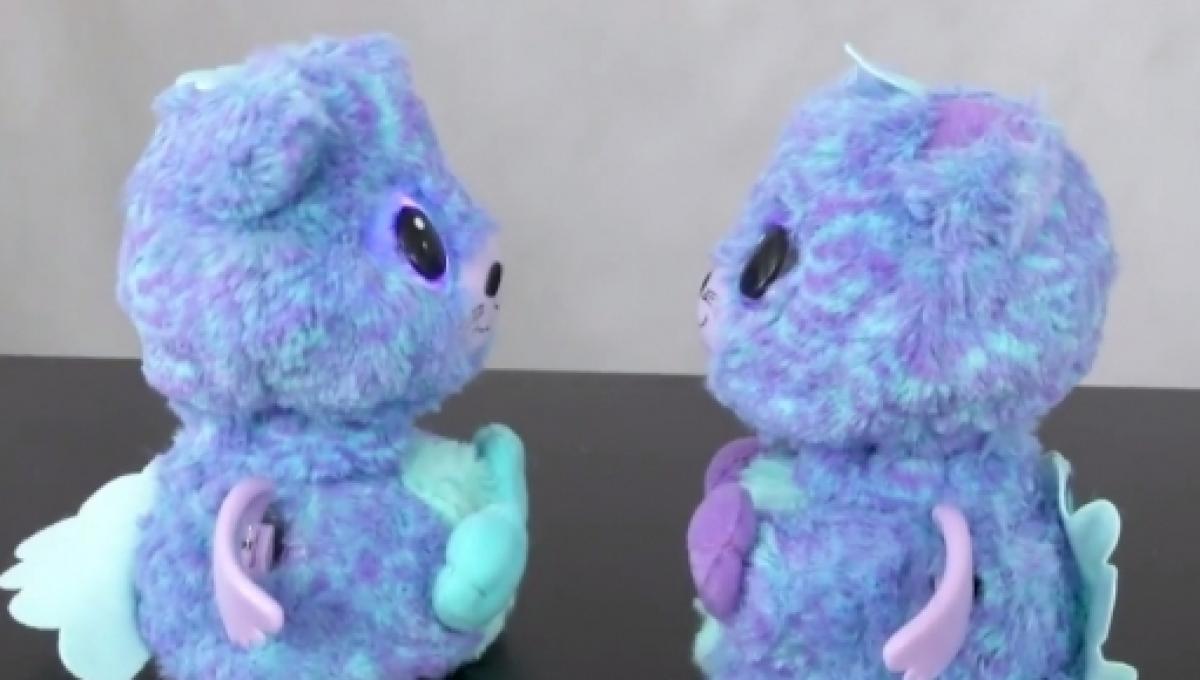 hatchimals twins