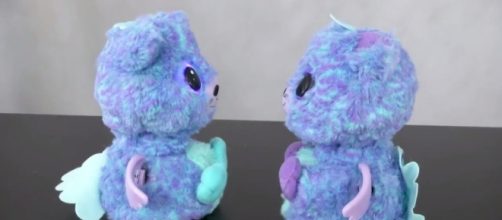 A set of twins from Spin Master's 'Hatchimals Surprise' interacting. | Credit - (TTPM Toy Reviews/Youtube)