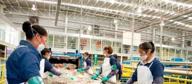 Proceso de selección de basura para su reciclaje. Proceso de selección de basura para su reciclaje.