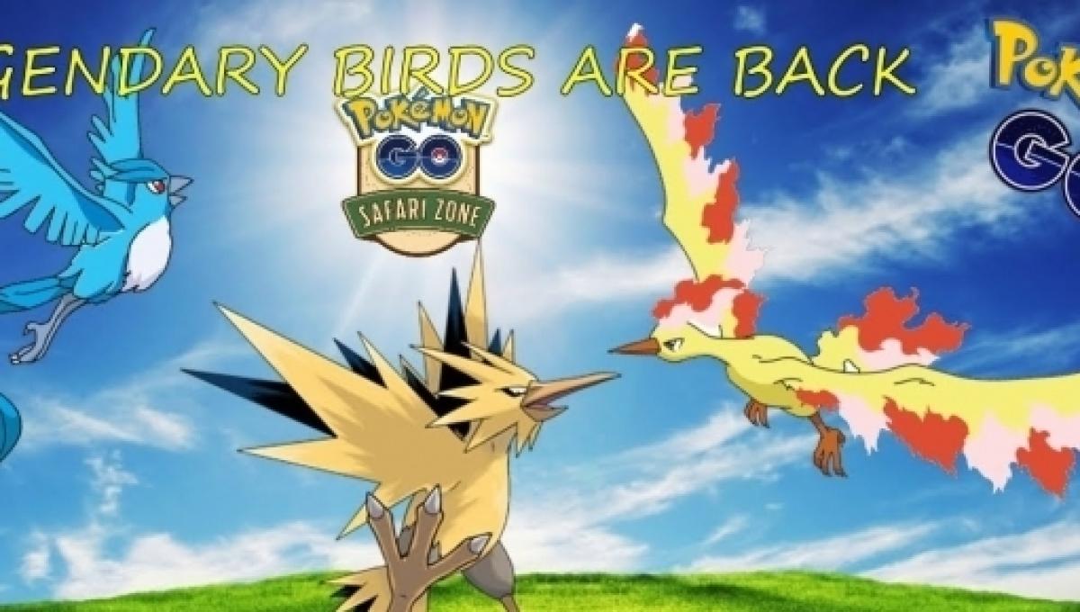 Raikou Legendary Pokemon Porn - Pokemon Go' Legendary Birds makes a surprising comeback
