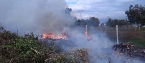 Particolare dell'incendio di sterpaglie