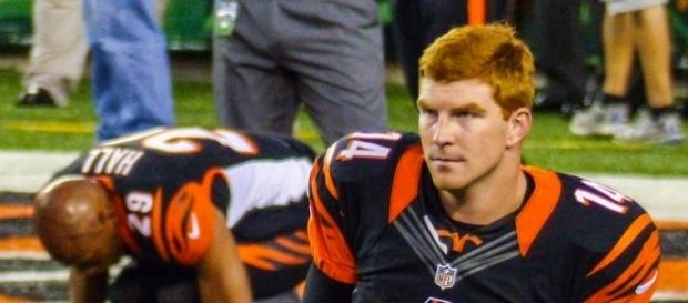 Andy Dalton - Simple English Wikipedia, the free encyclopedia - Keith Allison/ wikipedia.org Andy Dalton - Simple English Wikipedia, the free encyclopedia - Keith Allison/ wikipedia.org
