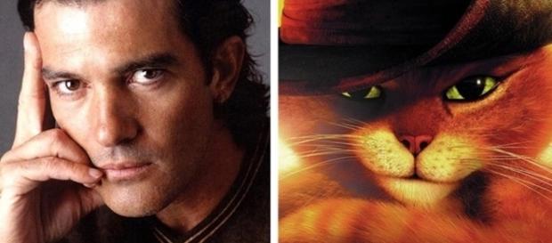Eles ganharam semelhanças incríveis ( Fotos -listal/DreamWorks SKG ) Eles ganharam semelhanças incríveis ( Fotos -listal/DreamWorks SKG )