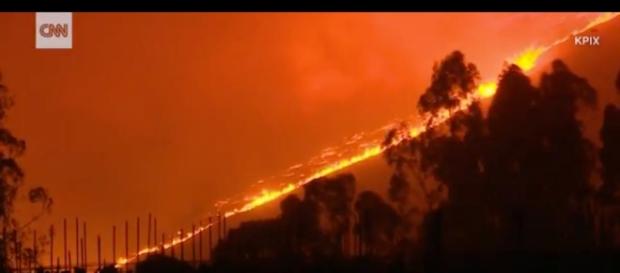 Os incêndios na Califórnia não param de se propagar e destruíram mais 68 mil hectares (Foto: Captura de imagem/CNN) Os incêndios na Califórnia não param de se propagar e destruíram mais 68 mil hectares (Foto: Captura de imagem/CNN)