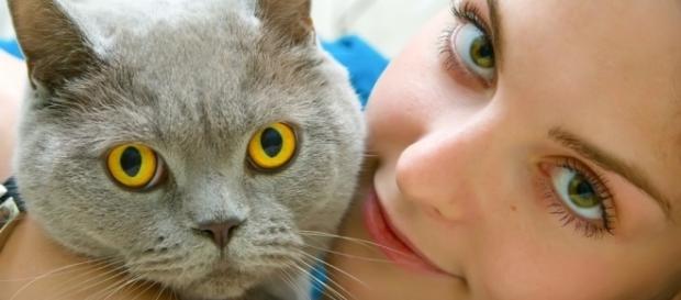 O seu gato o ama de verdade realmente? O seu gato o ama de verdade realmente?