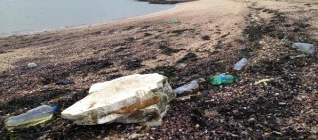 Discarded and / or carelessly disposed plastic. Canvey Island seafront. Discarded and / or carelessly disposed plastic. Canvey Island seafront.
