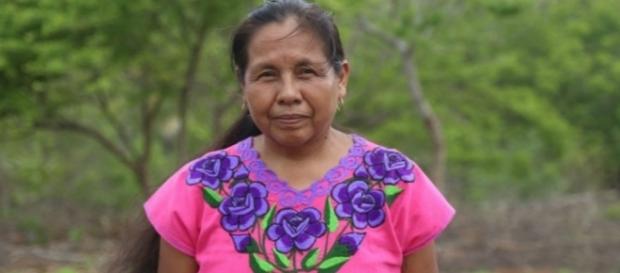 Marichuy es la primera mujer indígena en aspirar a la presidencia de México. Marichuy es la primera mujer indígena en aspirar a la presidencia de México.