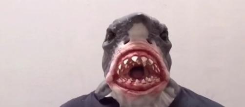 A man in a shark mask (not the one pictured) got in trouble with the police due to the burqa ban [Image credit: immortalmasks/YouTube]